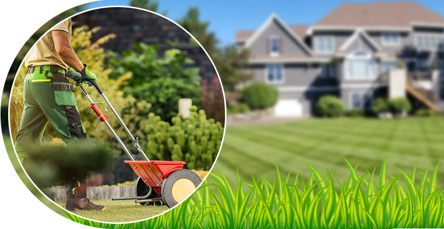 Lawn Care Vadnais Heights, MN