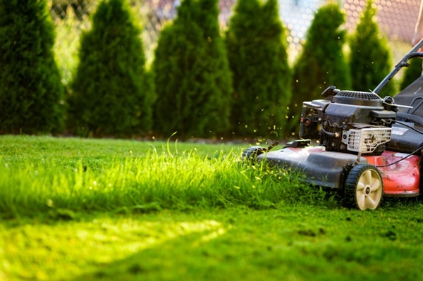 Major Ways Professional Lawn Care Makes Your Life Easier