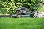 Essential Spring Lawn Cleanup Steps for a Healthier Lawn