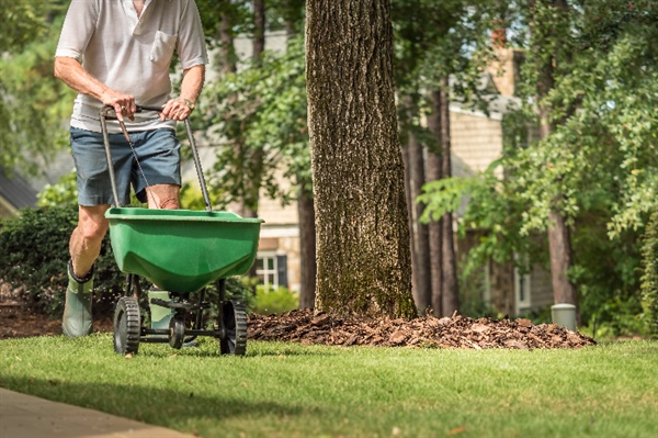 Key Benefits of Lawn Fertilization in Minnesota