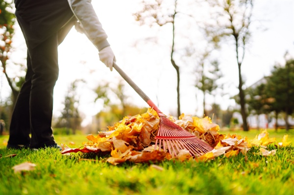 How Fall Yard Cleanup Prepares Your Lawn for a Healthy Winter in Minnesota