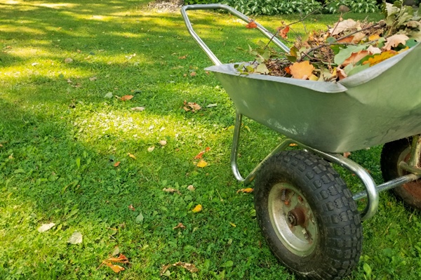 How Seasonal Lawn Cleanup Improves Lawn Health