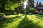 Customize a Lawn-Care Package & Manage Your Budget While Achieving a High Aesthetic Standard