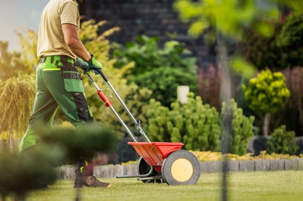 What Is the Best Lawn Fertilizing Schedule for Minnesota Homes?