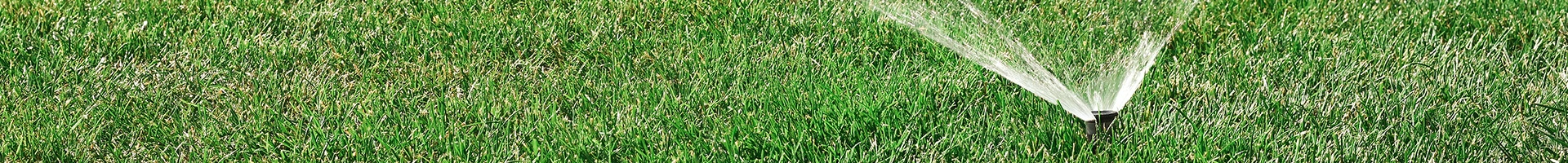 Green Lawn