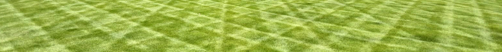 Green Lawn