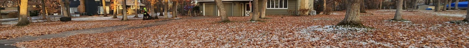 Green Lawn