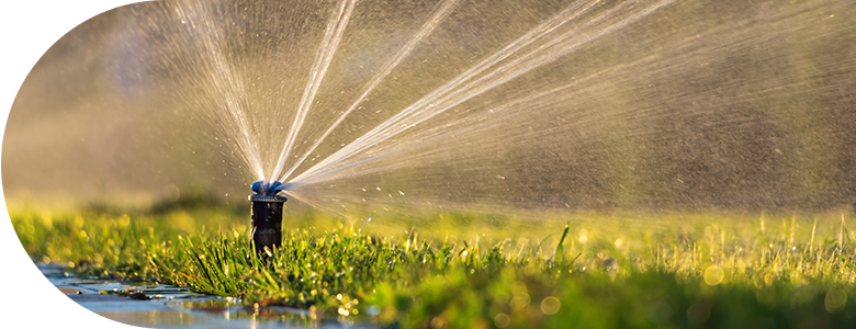 La Mirada Sprinkler System Installer thumbnail